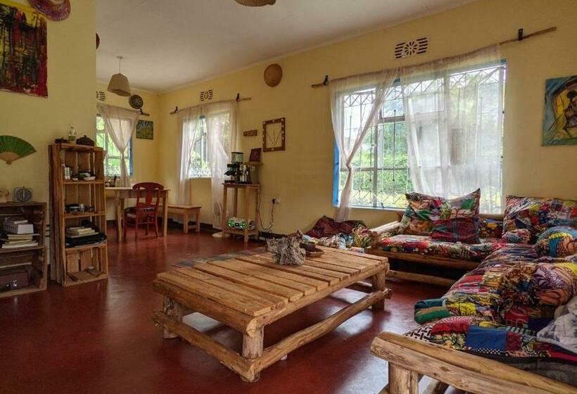 اتاق لوکس, Backyard Hostel