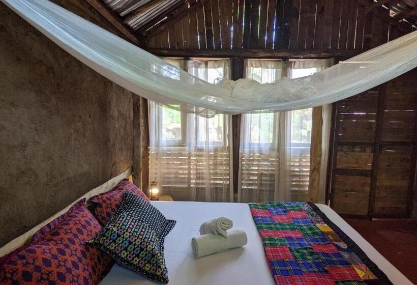 بانگلوی استاندارد, Backyard Hostel
