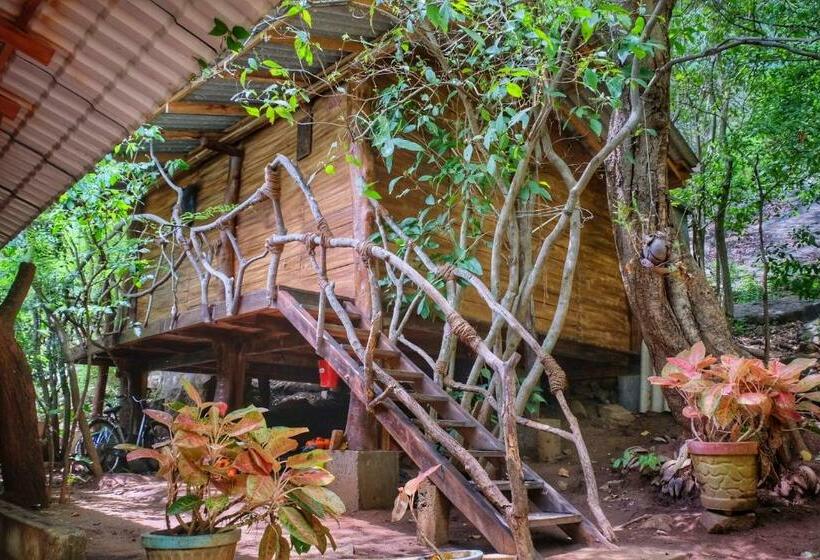اتاق خانوادگی با چشم‌انداز کوه, Golden Rainbow Guest House