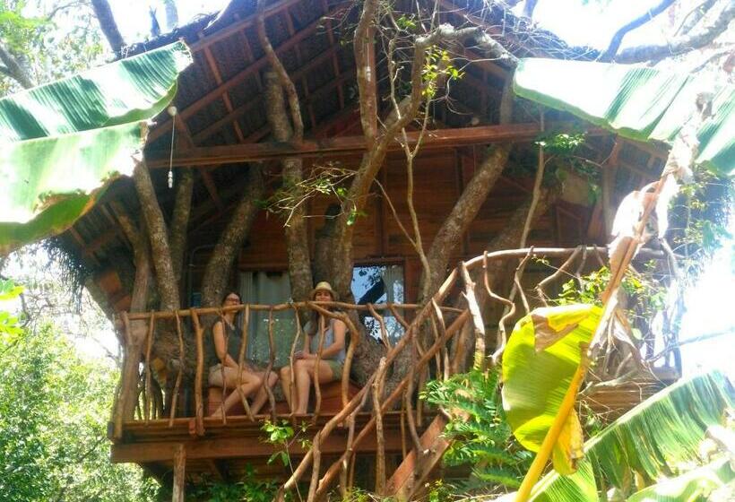 Дом 1 Спальня, Habarana Tree House Ambasewana Resort
