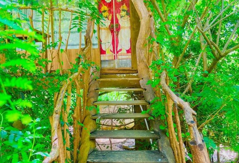 Номер Deluxe с Балконом, Habarana Tree House Ambasewana Resort