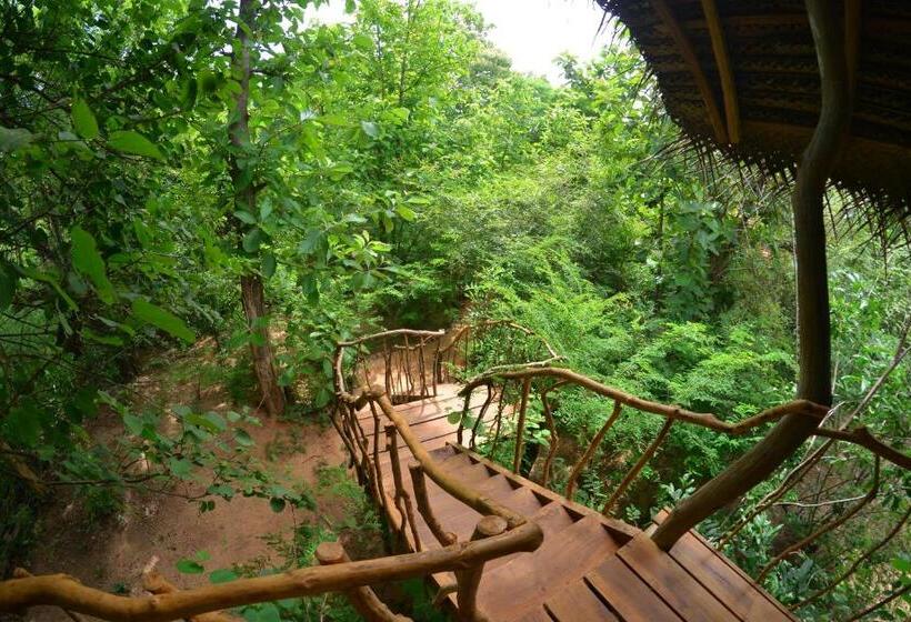 Дом 1 Спальня, Habarana Tree House Ambasewana Resort