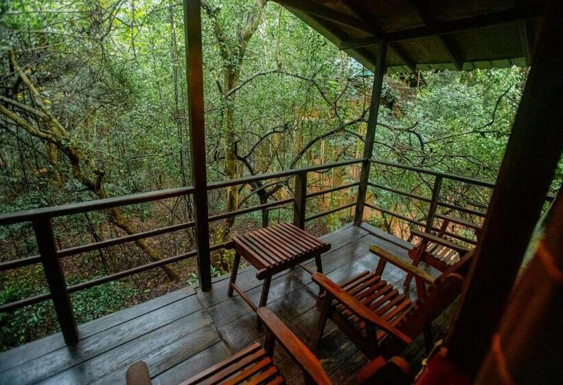 سوییت خانوادگی, Inn On The Tree Eco Resort Sigiriya