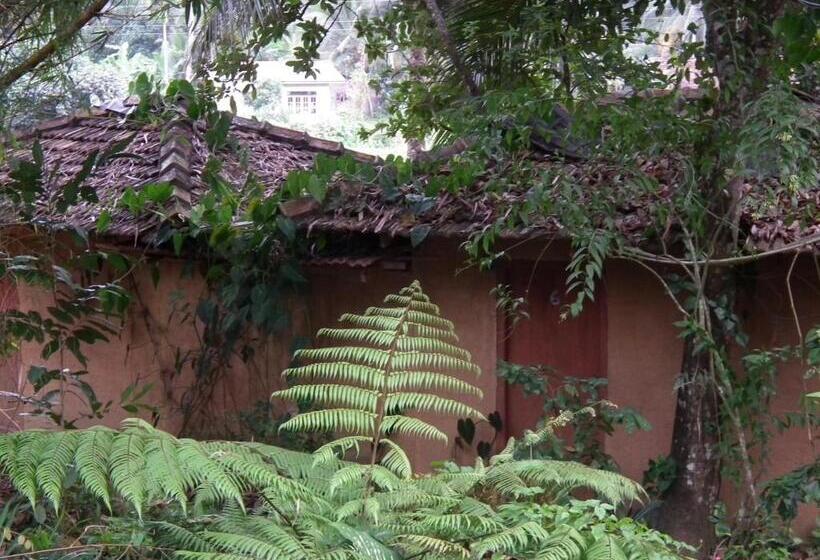 Хижина, Deniyaya National Backpackers Hostel