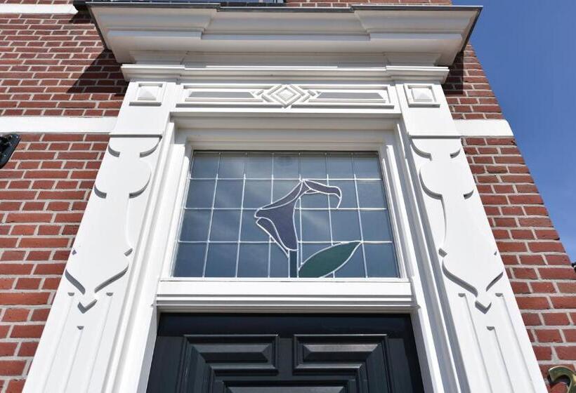 דירת חדר, De Gravin