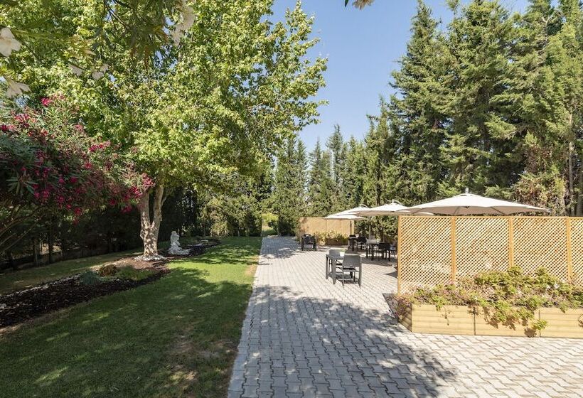 Номер Стандарт, Manta Guest