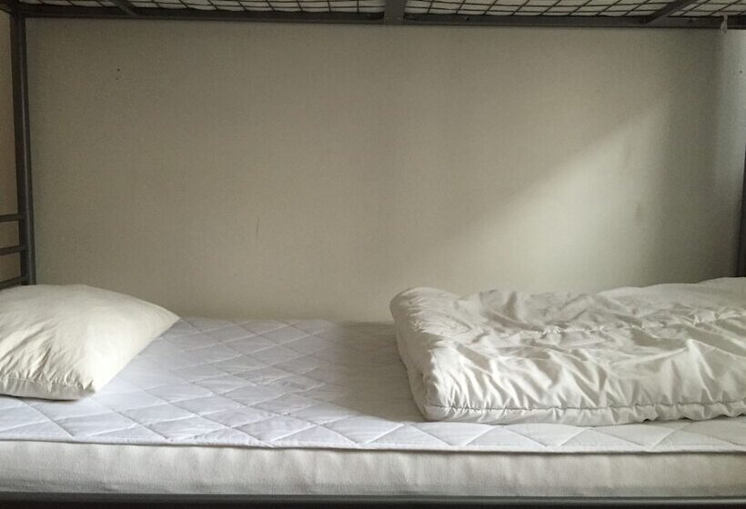 اتاق استاندارد چهارنفره با سرویس بهداشتی مشترک, Linne Hostel