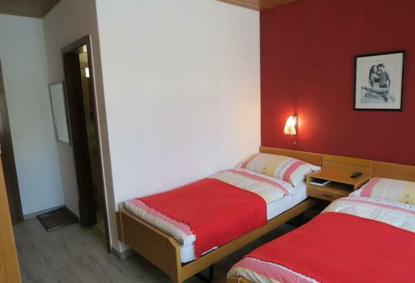 Номер Стандарт, L Union B&b   Chambres D Hôtes