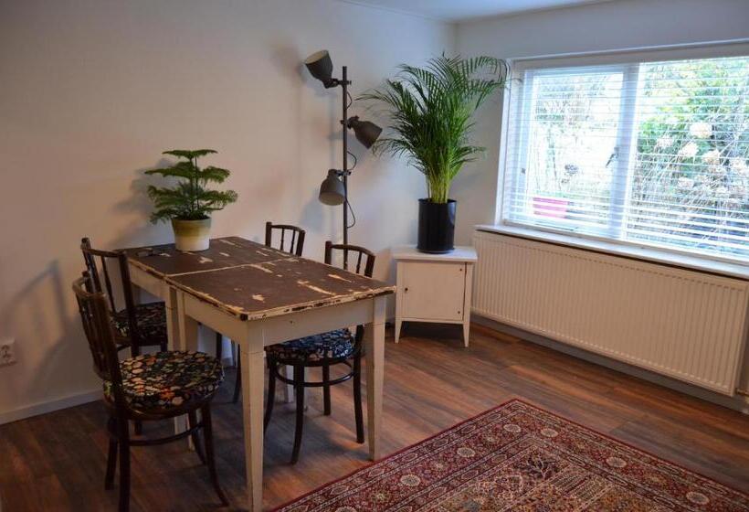 带1个卧室的公寓, De Waag