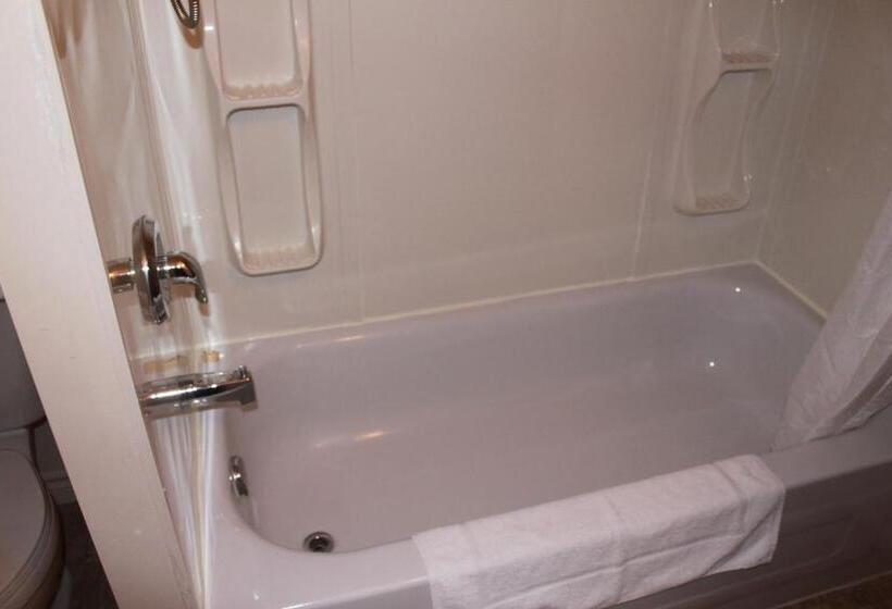 اتاق استاندارد, Motel Boisé