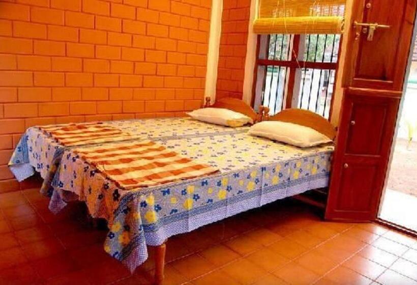 Quarto Estandar, Dazzle Dew