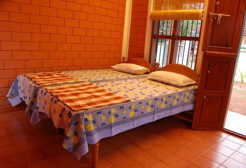 Quarto Deluxe, Dazzle Dew