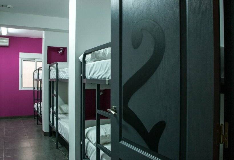 공동 객실, Olé Backpackers Hostel