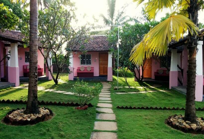 Bungalow Standard, Avalon Inn