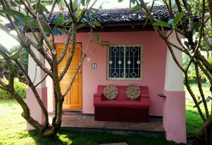 Bungalow Standard, Avalon Inn