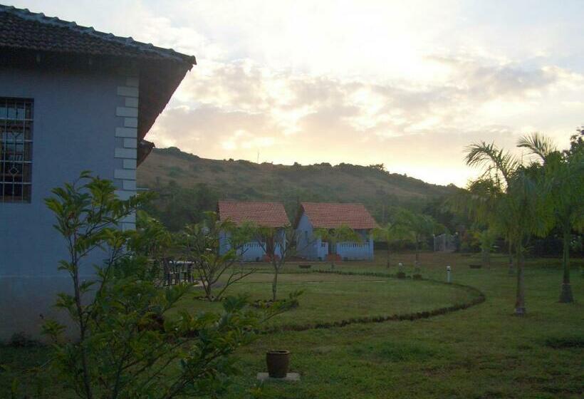 Casa 1 Dormitori, Avalon Inn