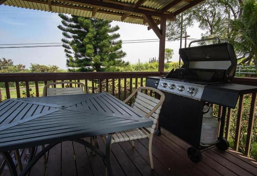 منزل غرفة نوم واحدة, God S Peace Of Maui