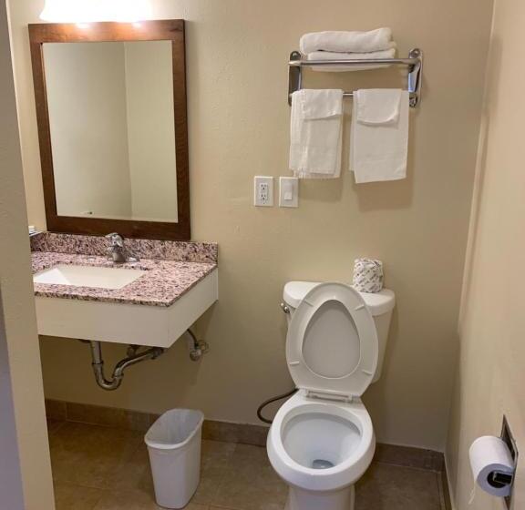 Стандартный Номер Кровать Кинг, A1 Budget Motel