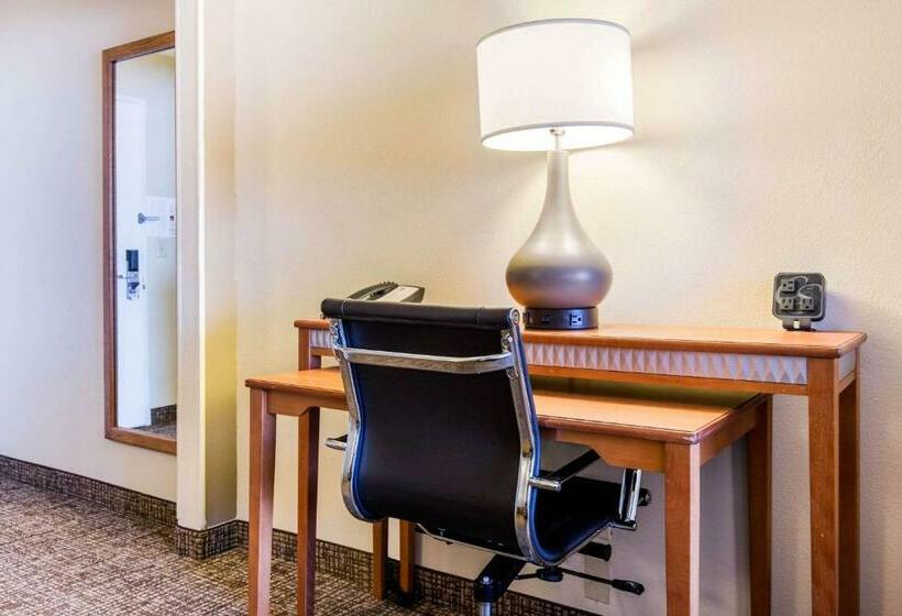 Люкс Адаптированный для Инвалидов, Comfort Suites Normal University Area
