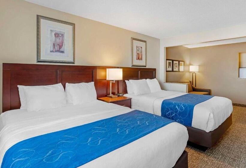 Люкс, Comfort Suites Normal University Area