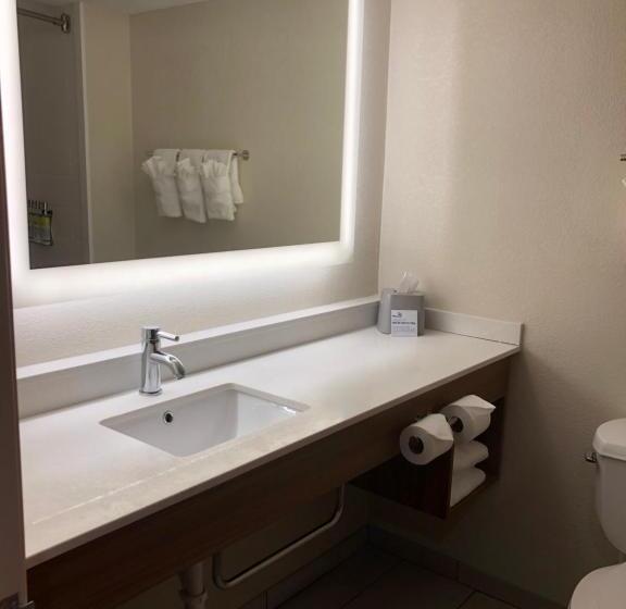 장애인을 위한 스위트, Holiday Inn Express & Suites Cedar Falls   Waterloo, An Ihg