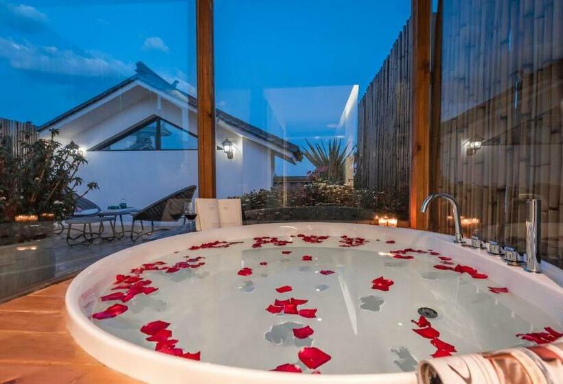 Номер Deluxe, Shang Shan Ruo Shui 大理上山若水客栈
