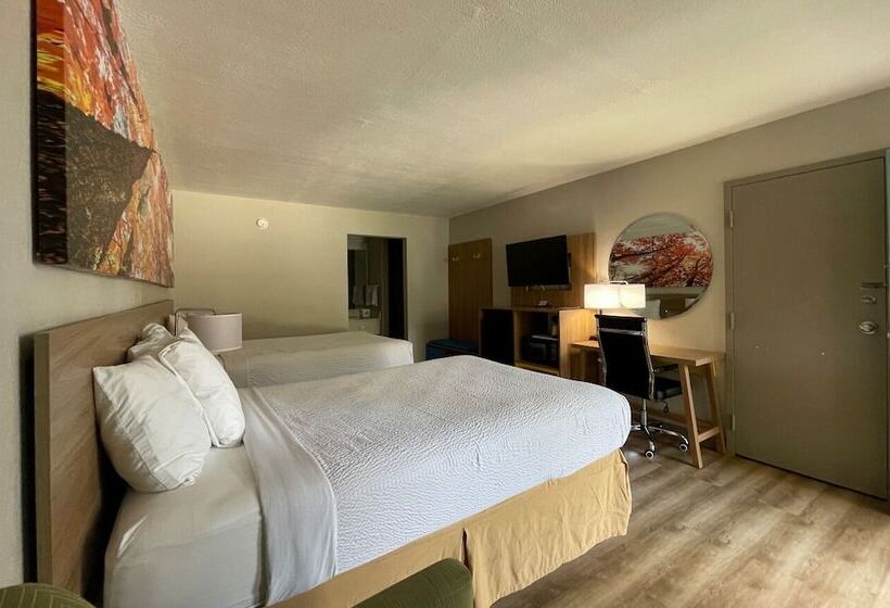 스탠다드 룸 더블 침대 2개, Days Inn By Wyndham Lake Park/valdosta