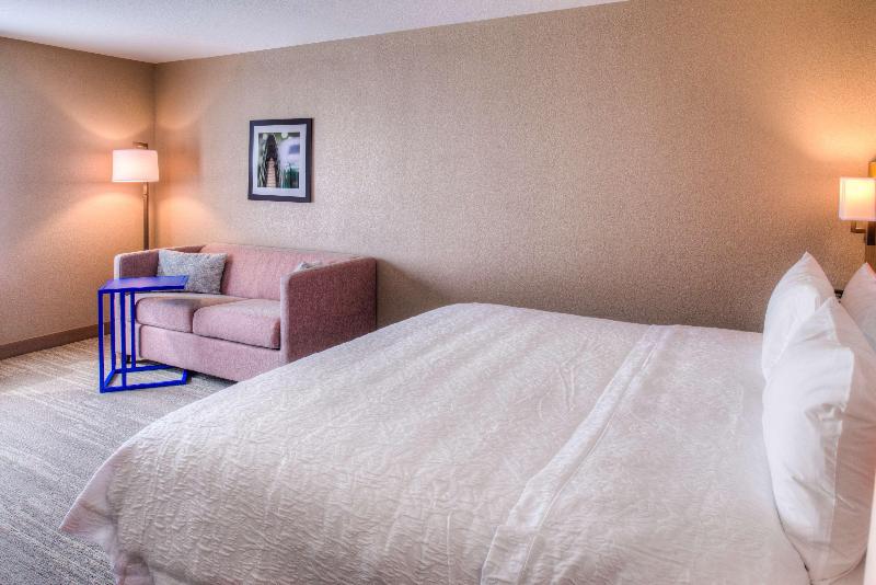 带大床的标准间, Hampton Inn & Suites Wixom
