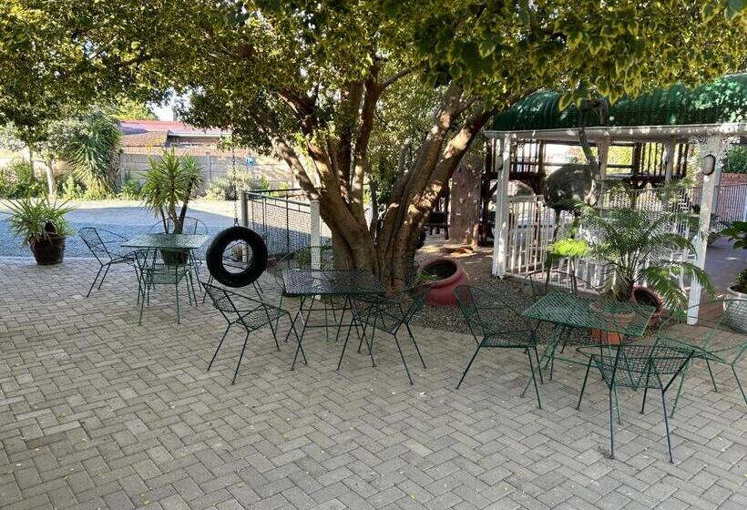 Номер Superior, The Solomon Guest House
