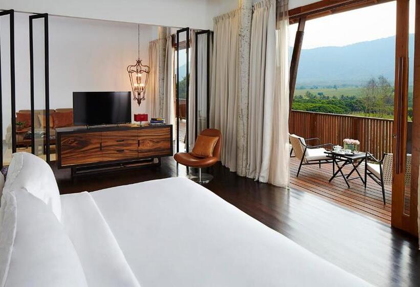 Президентский Люкс, Boribot Pool Resort