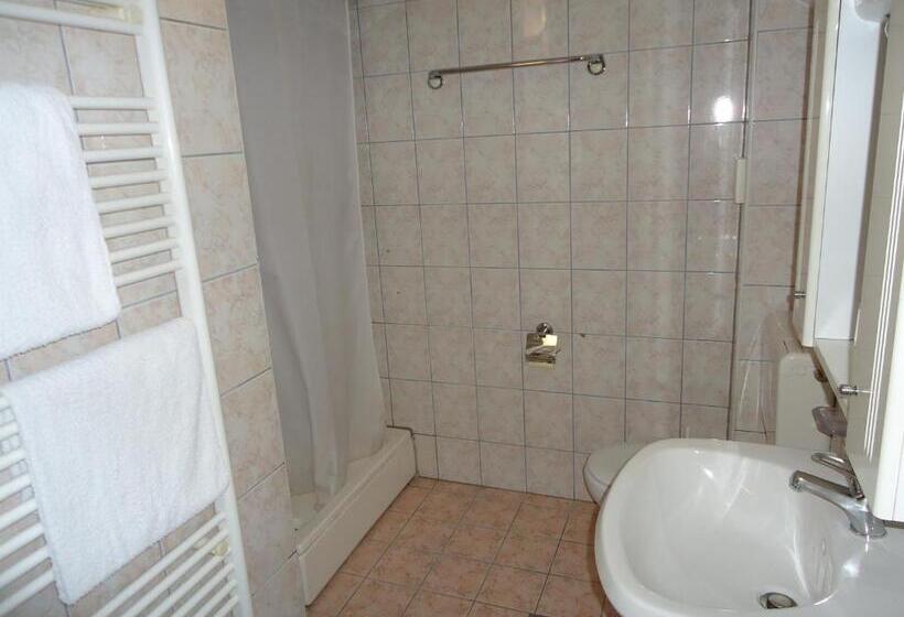 スタンダードシングルルーム, Pansion Antonio