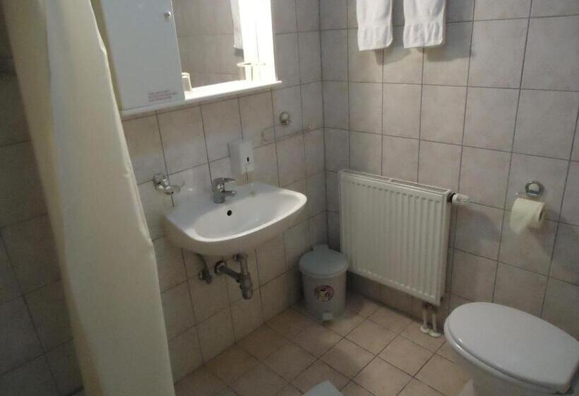 スタンダードトリプルルーム, Pansion Antonio