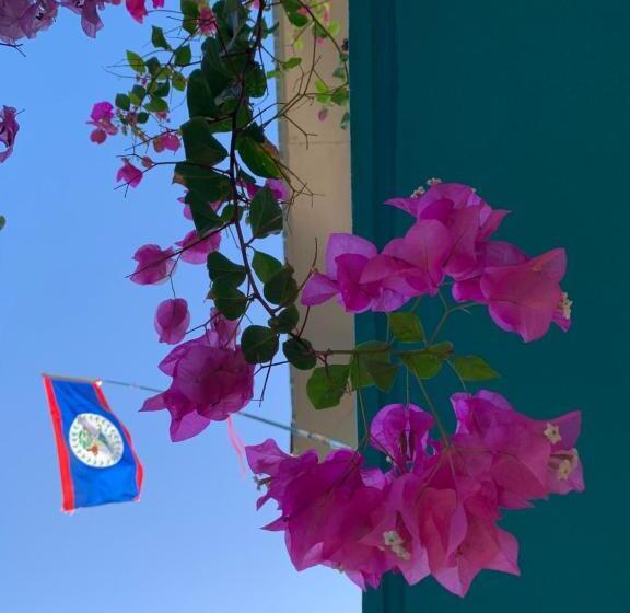 Номер Deluxe, All Seasons Belize