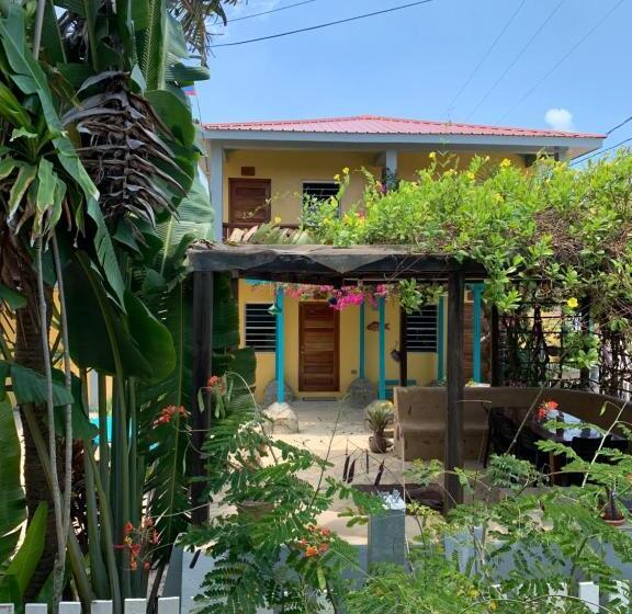 オーシャンビューデラックスルーム, All Seasons Belize