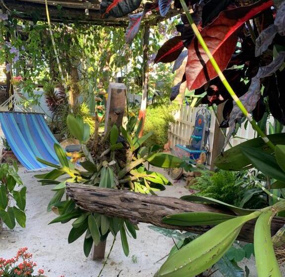 Номер Deluxe Вид на Море, All Seasons Belize