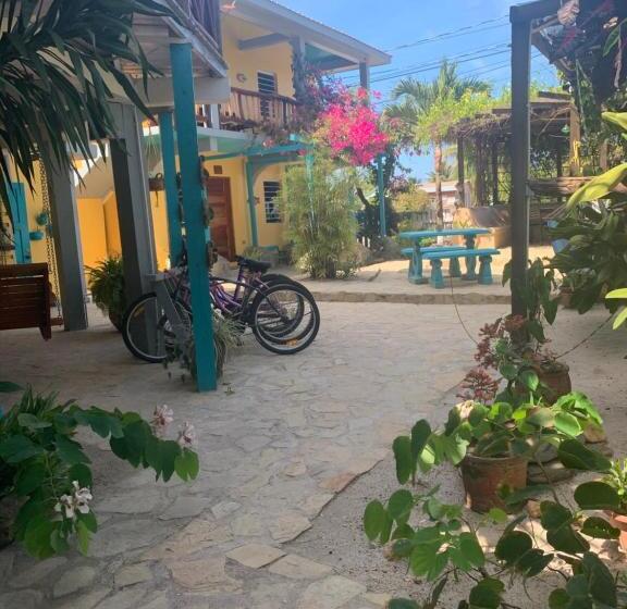 スタンダードルーム, All Seasons Belize