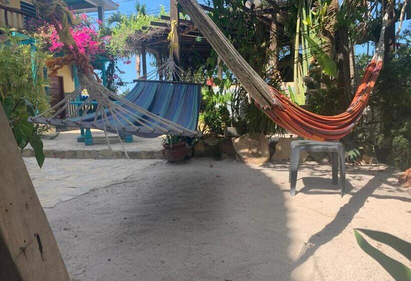 Номер Стандарт, All Seasons Belize