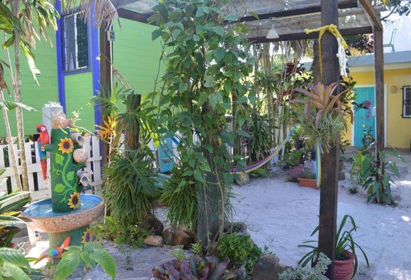 デラックスルーム, All Seasons Belize