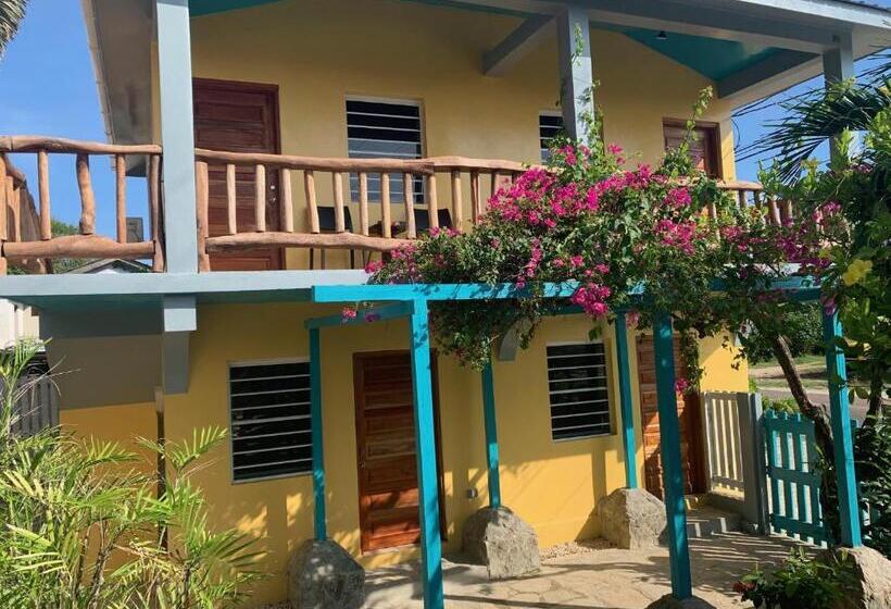 デラックスルーム, All Seasons Belize