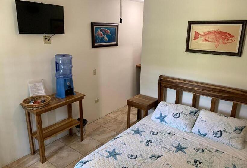 デラックスルーム, All Seasons Belize