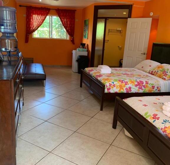 Номер Стандарт Вид на Сад, All Seasons Belize