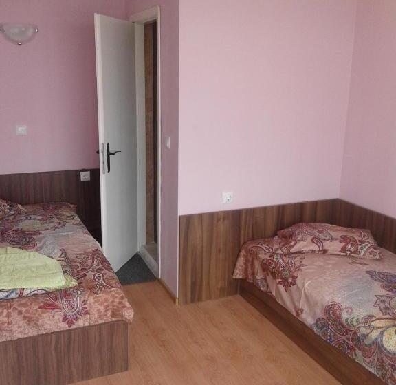 اتاق اکونومی, Family Hotel Ludo