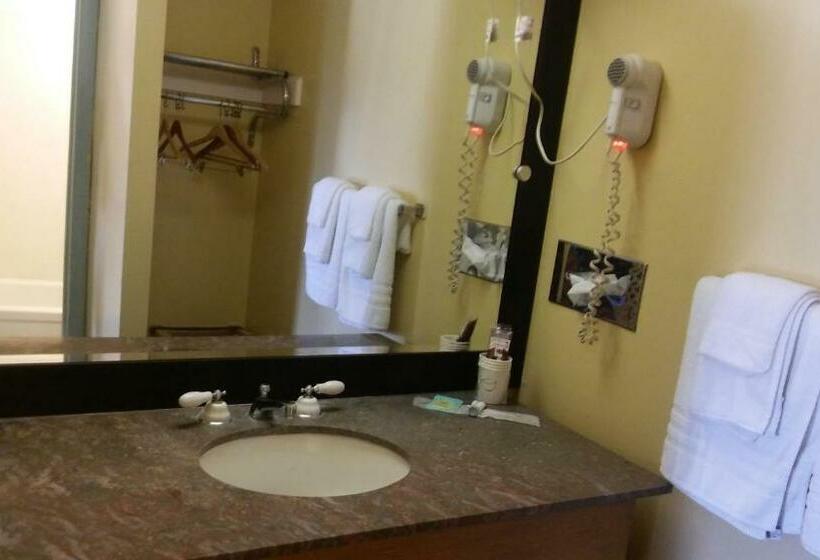 סטודיו סטנדרט, מיטה זוגית, Budget Inn Sterling