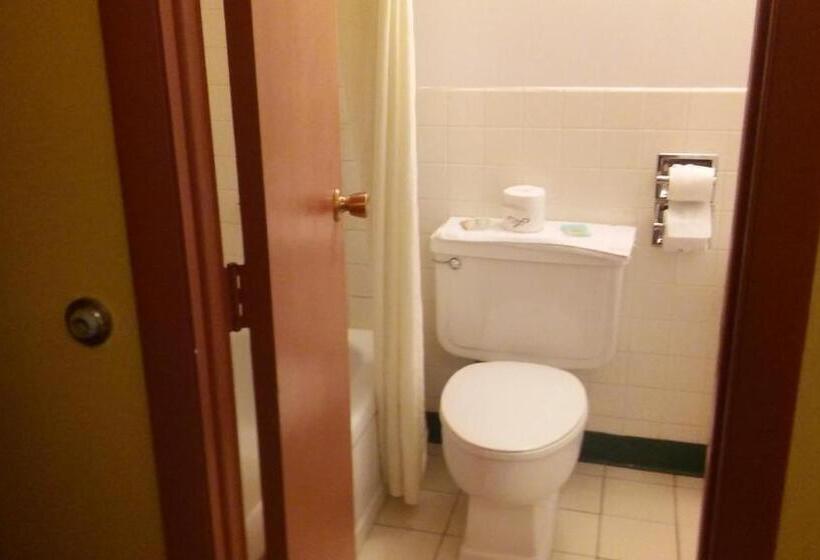 Номер Deluxe Одноместный, Budget Inn Sterling