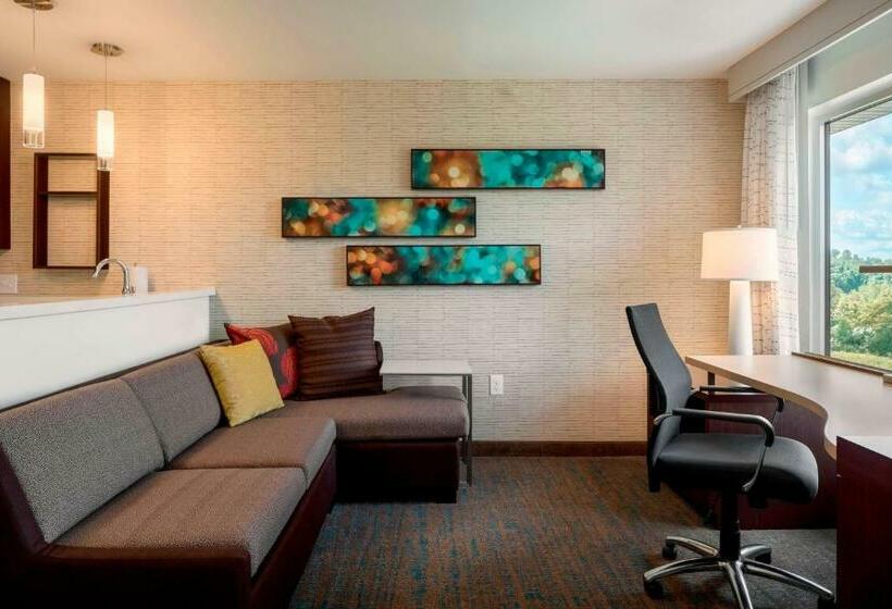 Студио Стандарт Кровать Кинг, Residence Inn By Marriott Wheeling/st. Clairsville