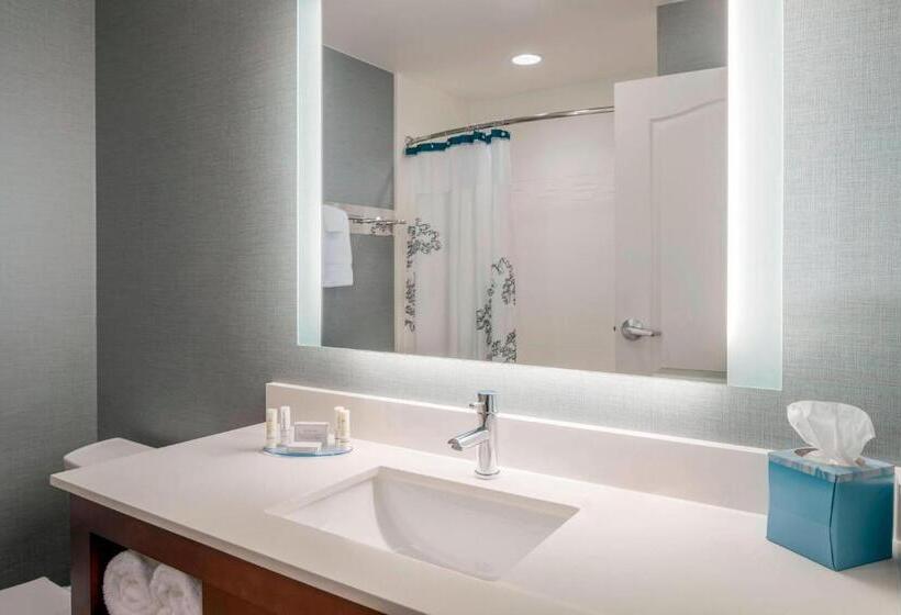 سوئیت با تخت بزرگ, Residence Inn By Marriott Wheeling/st. Clairsville