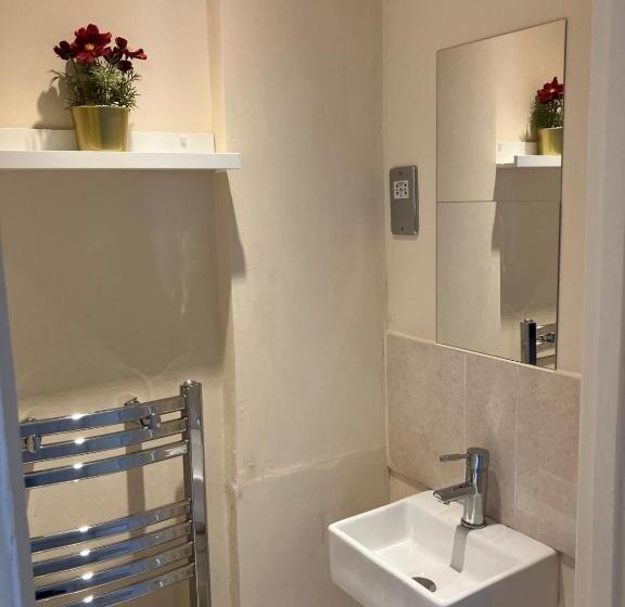חדר סטנדרט יחיד, Specious Studio Flats