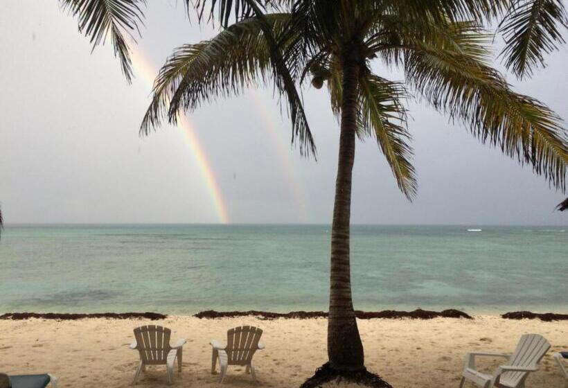 침실 1개 아파트, Del Sol Beachfront