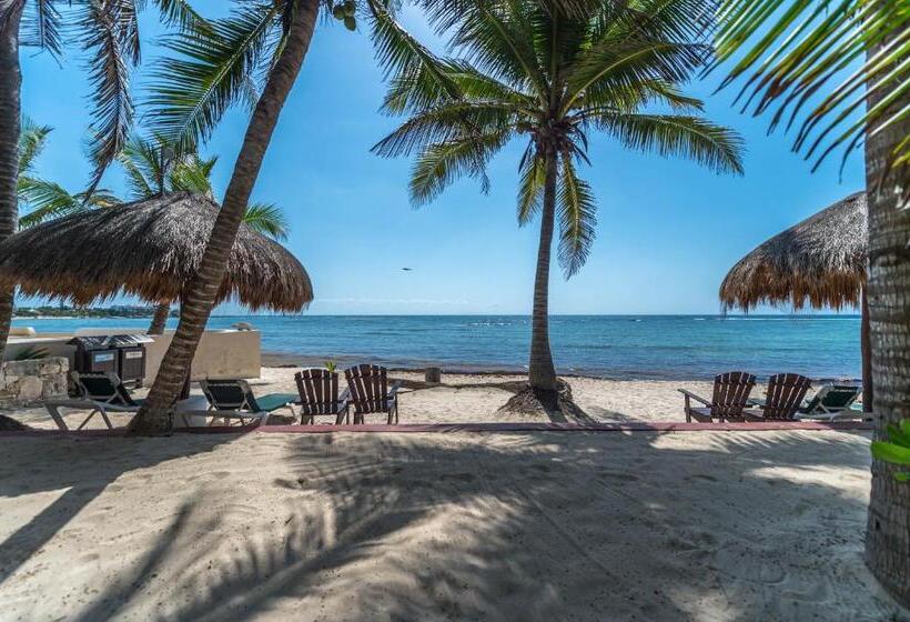 침실 1개 아파트, Del Sol Beachfront