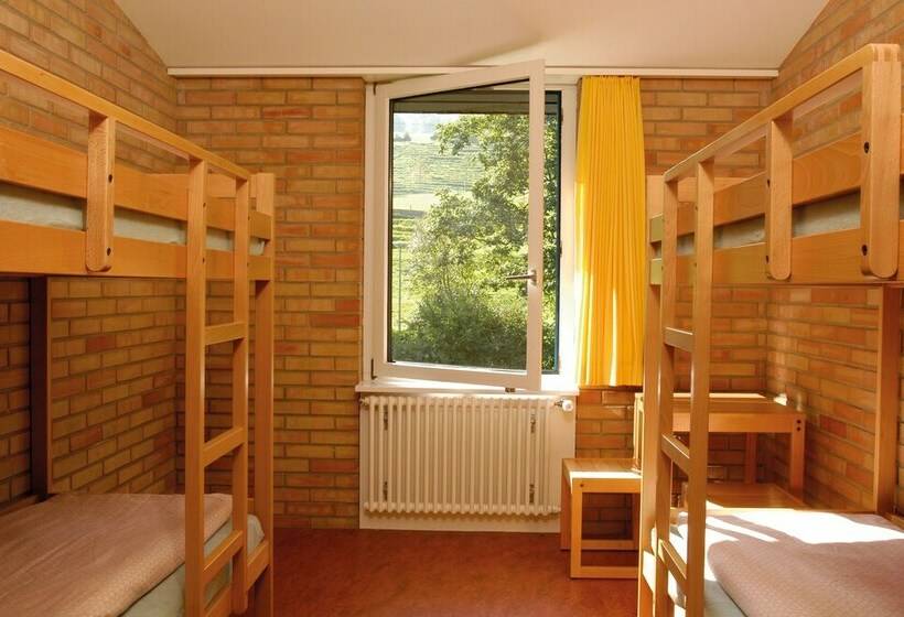 带共用浴室的标准房间, St. Gallen Youth Hostel